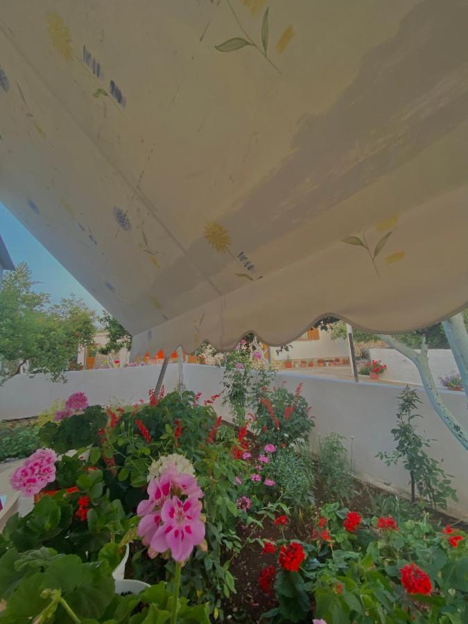 Apartments Vela Εξαμίλιο Εξωτερικό φωτογραφία