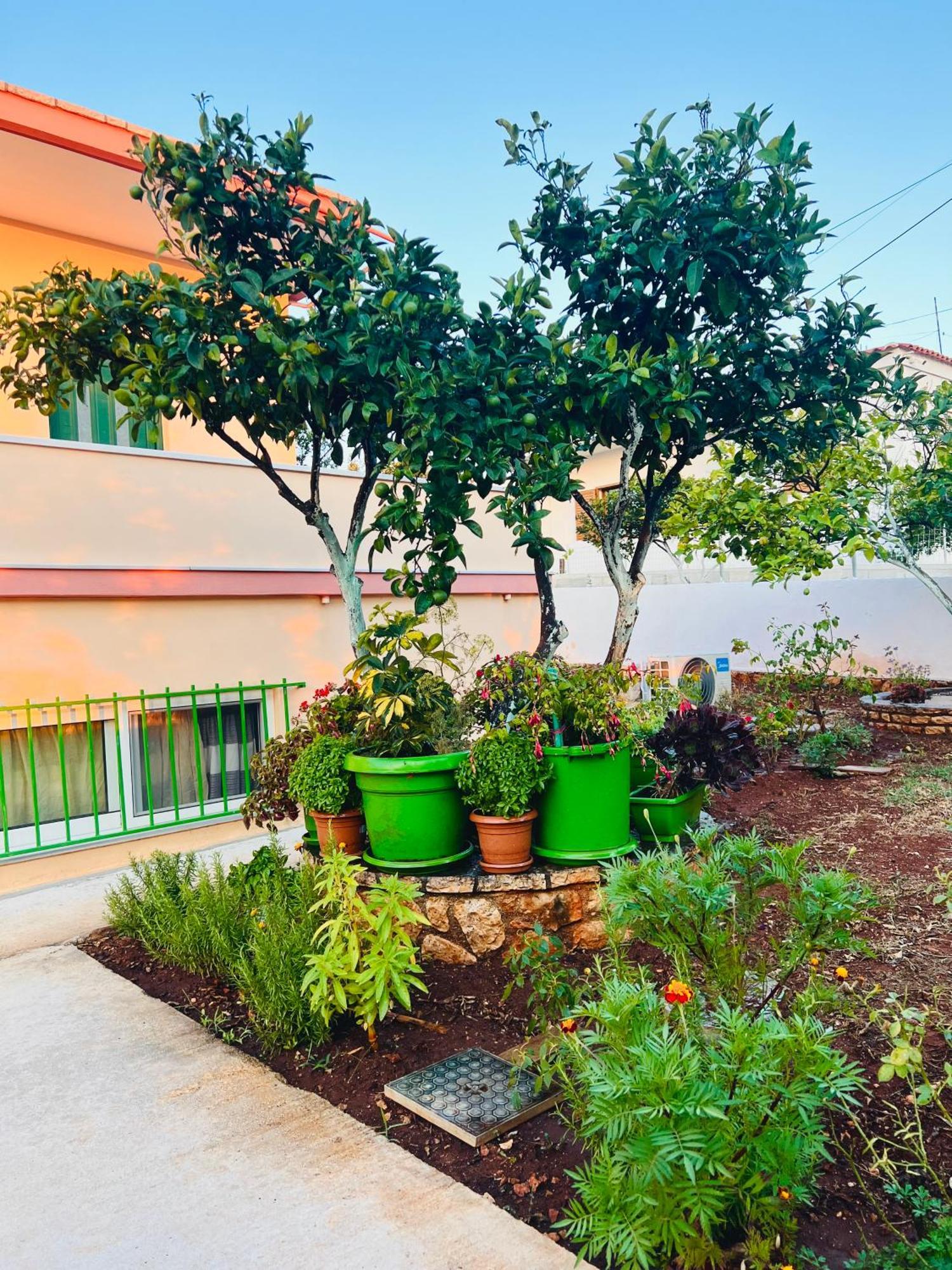 Apartments Vela Εξαμίλιο Εξωτερικό φωτογραφία